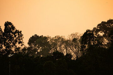 Fototapeta premium Sunset countryside landscape with rural field and small house peaceful nature golden light misty morning calm environment hope tranquility scenic farmland outdoor lifestyle