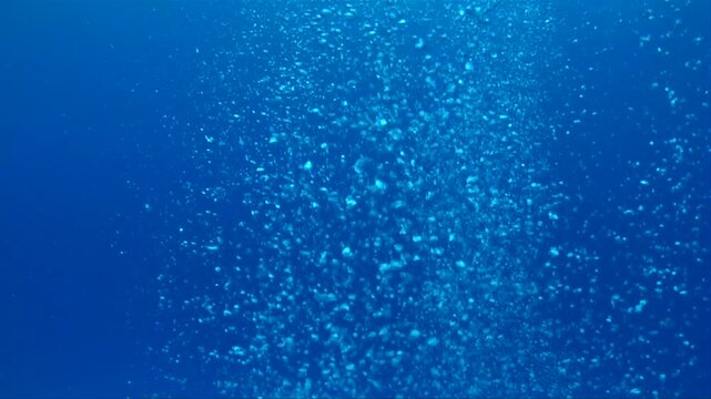 ウォーターイメージ