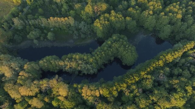 Aerial Drone View Of Winding Forest Stream With Ascending Movement In Lummelunda, Gotland Sweden