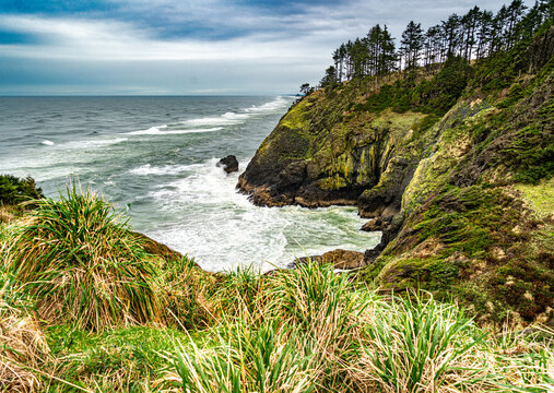 Cape Disappointment Shoreline 8