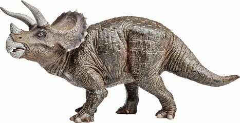 Dinosaur © Fernandes