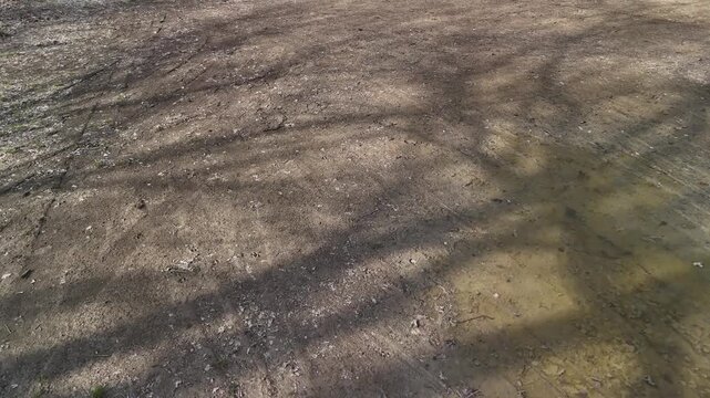 Passing tire tracks on a muddy country road with shadows of bare trees projected by the morning sun, revealing the intricate patterns of the rough rural terrain