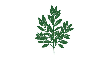 Green Leaves Illustration Isolated on White. © Acuba