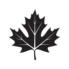 Fototapeta premium canadian maple leaf silhouette white background vector illustration