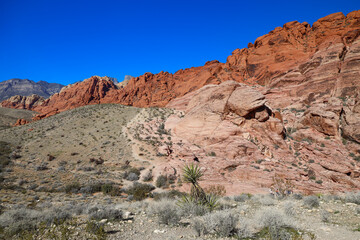 Fototapeta premium Red Rock Canyon, Nevada, USA 