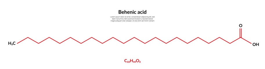 Obraz premium Behenic or docosanoic acid molecular structure formula, suitable for education or chemistry science content. Vector illustration