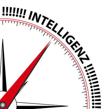 Kompass Intelligenz