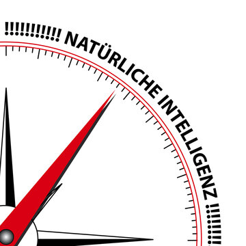 Kompass nat&uuml;rliche Intelligenz