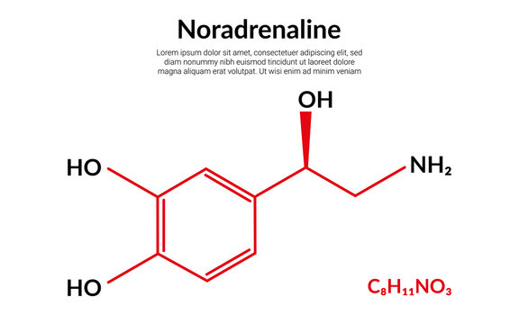 Noradrenaline or norepinephrine molecular structure formula, suitable for education or chemistry science content. Vector illustration
