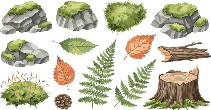 Forest nature elements vector collection featuring rocks moss leaves fern branches tree stump pine cone and grass botanical set