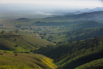 Naklejka premium Carrizo