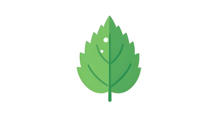 Fototapeta premium leaf, leaves, green, plant, foliage, nature, botanical, botany, garden, natural, fresh, eco, ecology, organic, environment, growth, spring, summer, herb, flora, floral, branch, stem, vein, texture, pa