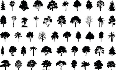 Fototapeta premium This image features a wide variety of black tree silhouettes, showcasing different shapes and sizes. Each silhouette represents a distinct species, ranging from tall pines and bushy oaks to slender pa