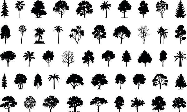 This image features a wide variety of black tree silhouettes, showcasing different shapes and sizes. Each silhouette represents a distinct species, ranging from tall pines and bushy oaks to slender pa