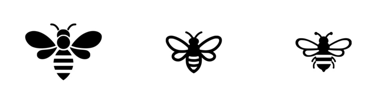Elegant Black and White Bee Stencil Art
