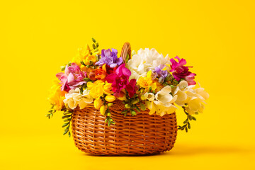 Fototapeta premium Beautiful freesia flowers in basket on yellow background