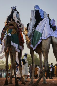 Argugun, Nigeria - 13 February 2026: View of camels adorned with colorful textiles and riders in traditional dress amidst the sandy landscape near Mata Fada village.
