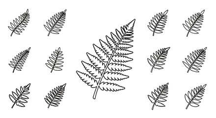 Detailed illustration of fern leaf patterns. © Tujuenam