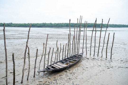 Khulna, Bangladesh - 13 July 2025: View of a weathered wooden boat marooned in the muddy flats, framed by slender wooden poles under a muted sky, where the river meets the distant forest.