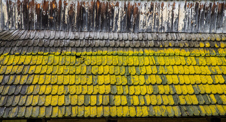 Obraz premium Close-Up of Moss Covered Roof Shingles Pattern