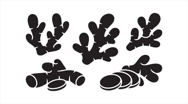 Ginger root silhouettes black vector set whole and sliced spice icons isolated on white