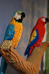 Naklejka premium LEGO parrot 