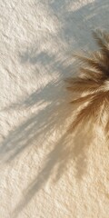 Naklejka premium Palm frond shadow stretching across textured sand surface in soft afternoon light warm tones abstract desert pattern