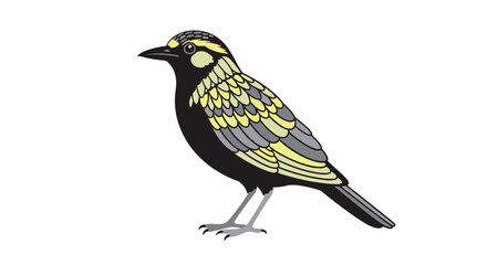 Obraz premium Colorful illustration of a songbird with striking black plumage and bright yellow wing patterns on a white background.