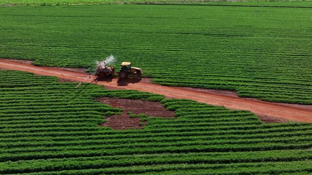 Aerial view of a tractor spraying green peanut crops next to a vast sugarcane plantation