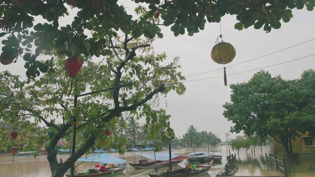 Lanterns hang from trees in Hoi An, Vietnam, creating a festive atmosphere. The lanterns are a popular tourist attraction, adding to the city's charm and cultural appeal.