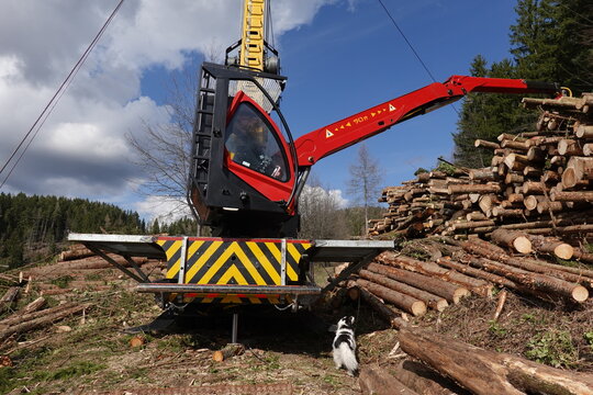 Cablelift for forestry . Mounty . Seilger&auml;t f&uuml;r Holzbringung 