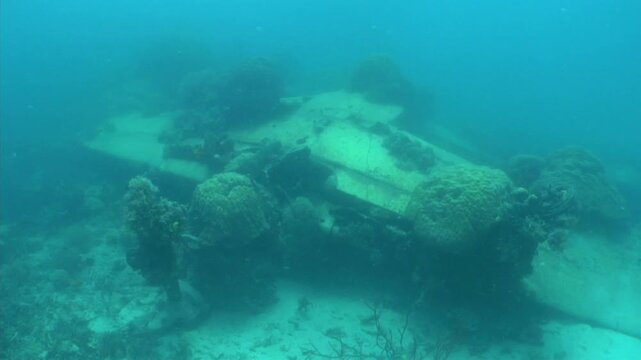 海中に沈んだ零戦