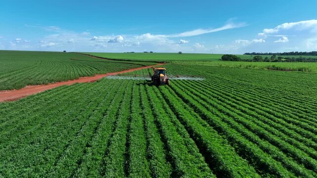 Aerial view of a tractor spraying green peanut crops next to a vast sugarcane plantation