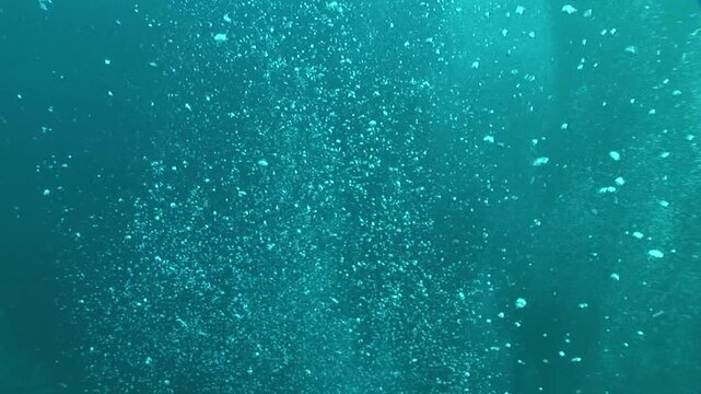 泡（ダイバーの泡）