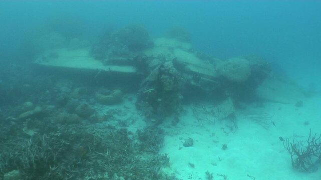 海中に沈んだ零戦