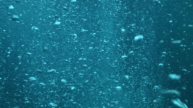 泡（ダイバーの泡）