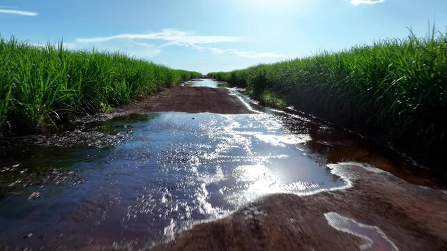 Aerial view of a water reservoir surrounded by sugarcane contour plowing and native forest