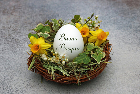 Auguri di Pasqua italiani "Buona Pasqua" su un uovo bianco in un nido rustico con narcisi gialli.