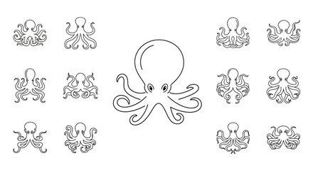 Fototapeta premium Octopus tentacles suckers cephalopod marine.