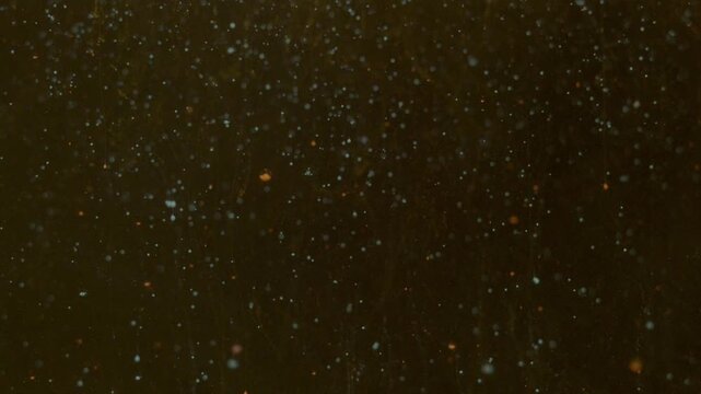 Blue and orange particles floating up