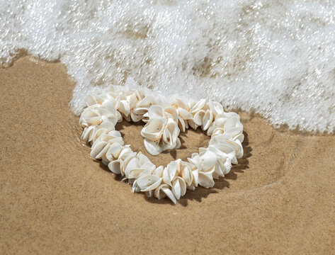 Heart made from shells