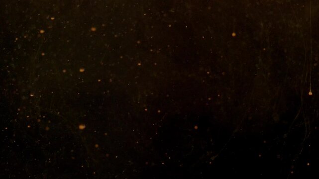 Orange Bubbles Falling