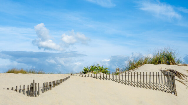 Europe, Portugal, Costa Nova.  Beach grass, sand and old fence line at the beach resort of Costa Nova near Aveiro.