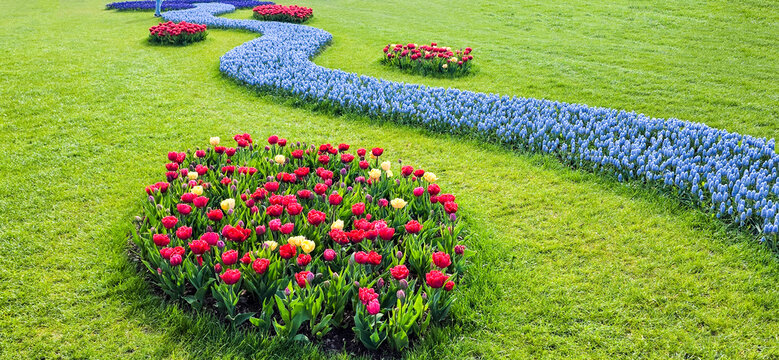USA, Washington State, Skagit Valley. Tulips and hyacinths on display.