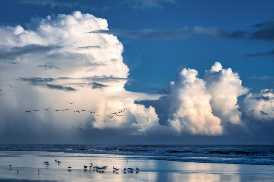 Discover the breathtaking beauty of a tranquil seaside morning, New Smyrna Beach, Florida, USA