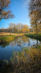 Obraz premium Serene Autumn River Landscape with Golden Trees and Reflections