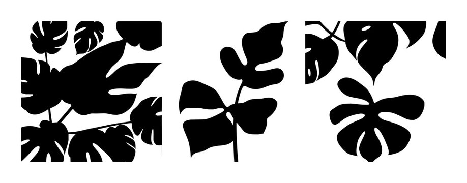 Monstera leaf silhouette set with elegant black line design featuring botanical, horticulture, plant art with plants and greens
