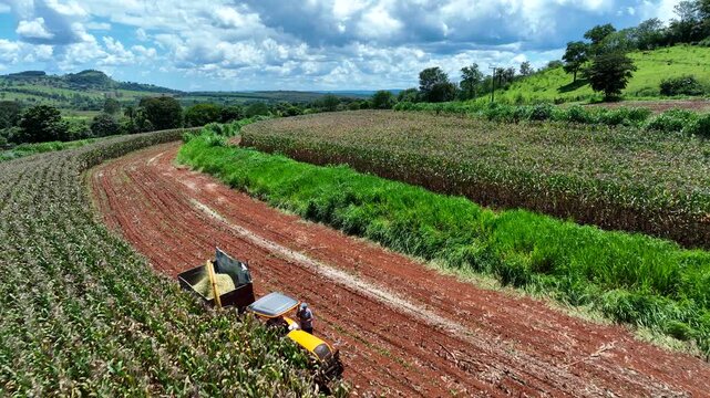 Aerial view of a tractor harvesting corn for silage in a field with contour farming patterns