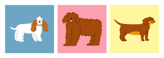 Fototapeta premium Set of posters with cute dogs. King Charles Spaniel dog, Bergamasco Shepherd dog and Dachshund dog. For pet-related marketing materials, content about breeds, prints, cards etc. Vector illustrations.