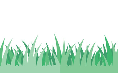 Fototapeta premium Fresh young green wheat grass sprouts growing in field under soft sunlight for agriculture and nature concept